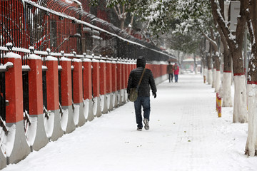 雪中行