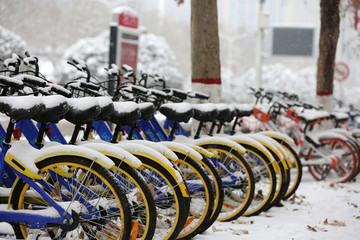 雪地共享单车
