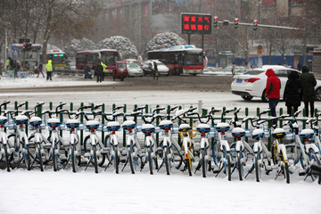 雪中共享单车