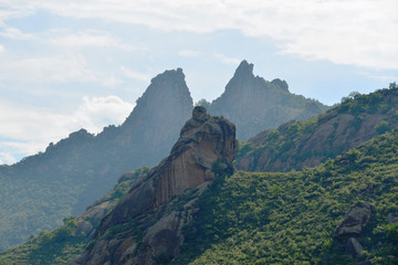 山岩蚂蚱