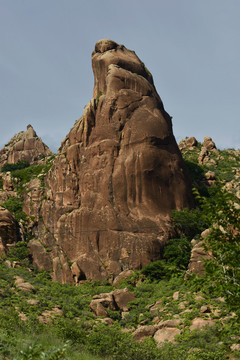 山岩海狮