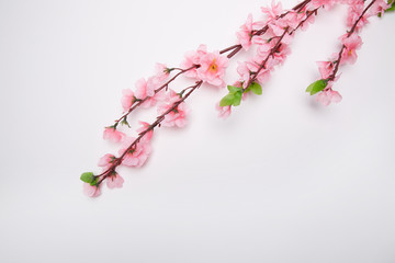 春节素材 新年 桃花 传统节日
