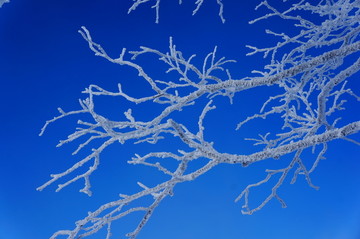 黑龙江牡丹江中国雪乡雪景