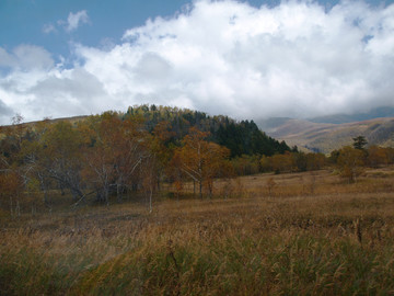 秋季的吉林长白山
