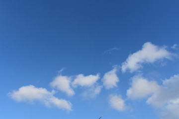 蓝天云