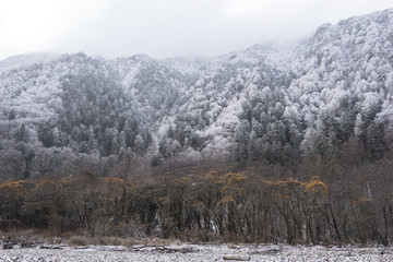 贡嘎山 河谷 河滩