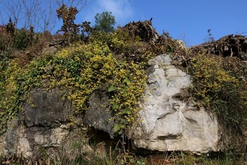 三峡风景