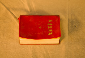 毛泽东选集