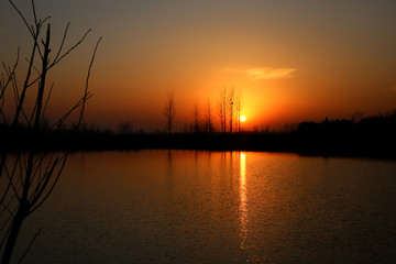 冬天池塘边日落