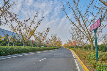 高清公路 上海奇妙路