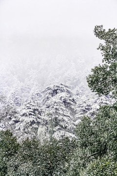 九华山雪景