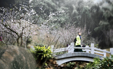 梅花香自苦寒来