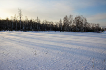 冬季的雪原森林