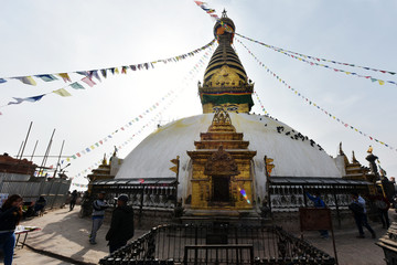 尼泊尔猴庙