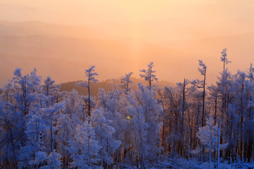 林海雪原暮色