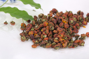 昆仑胎菊茶