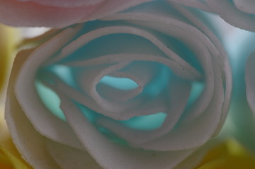 花瓣