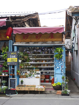 门店 花艺店 花店