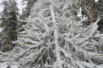 冰雪世界 石柱冷水镇雪景