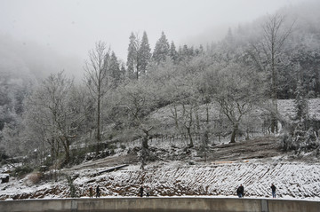 冰雪世界 石柱冷水镇雪景