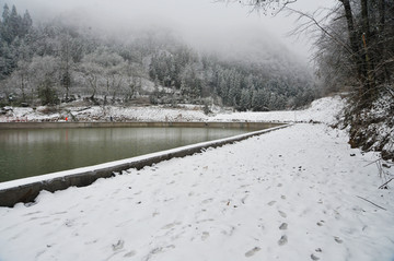 雪景