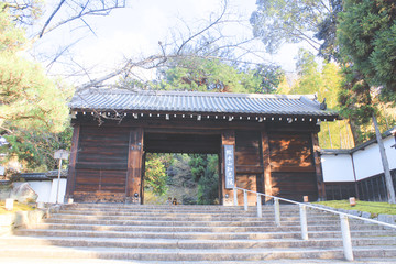 日本京都 寺庙