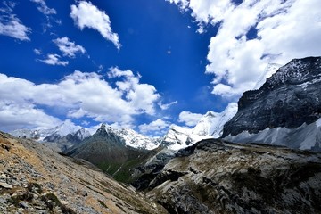 央迈勇和夏洛多吉