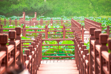 中式园林曲桥