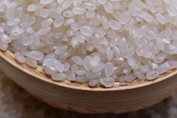 大米 糯米 珍珠米 东北米 食