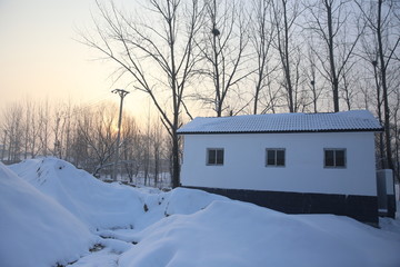 雪景