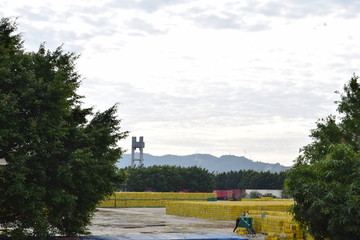 啤酒箱堆积