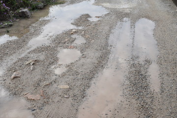 满地水坑水洼