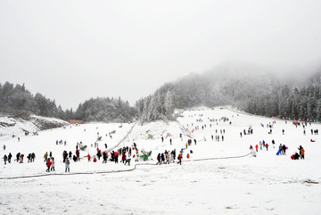 滑雪场 冷水镇滑雪场