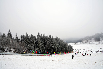 滑雪场 石柱滑雪场