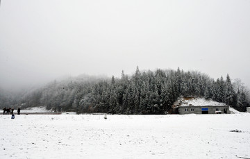雪景素材 雪景背景