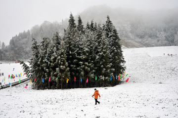 滑雪场  滑雪素材