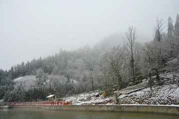 雪景图 重庆雪景图