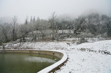 重庆冷水镇雪景图