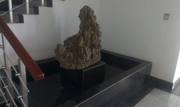 假山