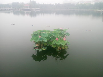 雨后公园