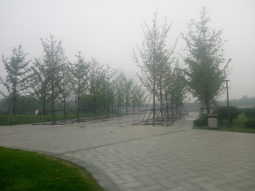 雨后公园