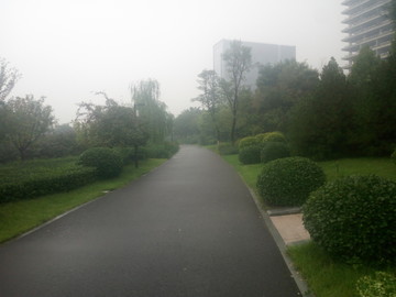 雨后道路
