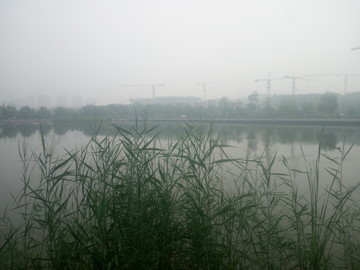 雨后公园