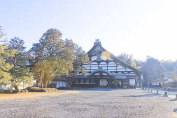 日本京都 东福寺 寺庙