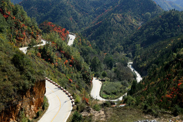 盘山公路