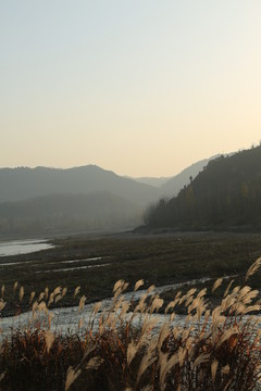 洛河风光