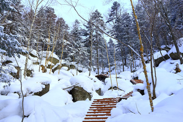 雾凇 冰雪风光 雪景 蓝天白云