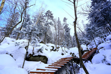 雾凇 冰雪风光 雪景 蓝天白云