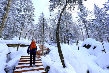 雾凇 冰雪风光 雪景 蓝天白云