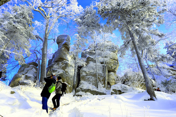 雾凇 冰雪风光 雪景 蓝天白云